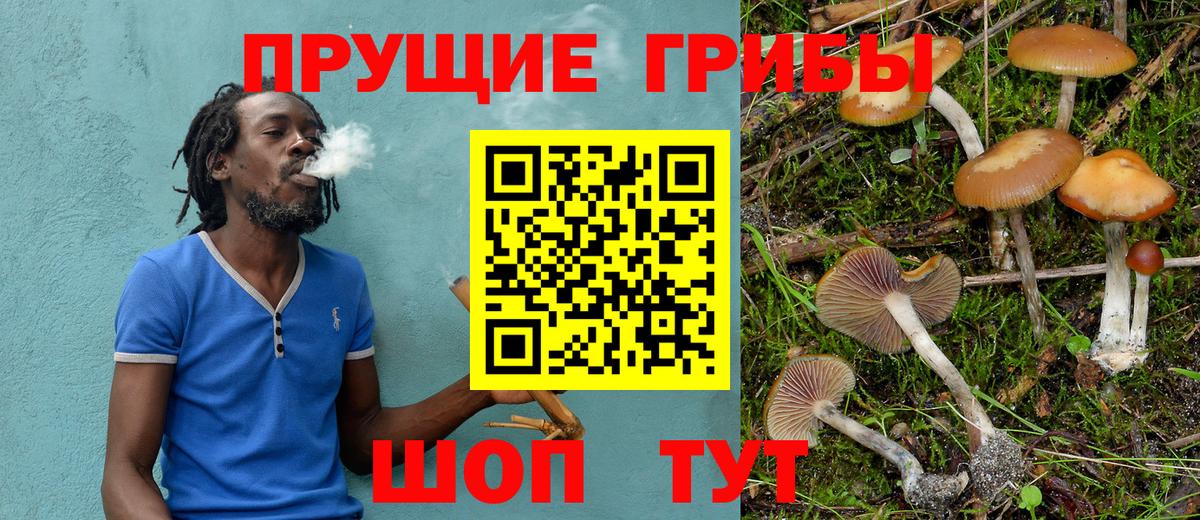 Псилоцибиновые грибы MAGIC MUSHROOMS Орск